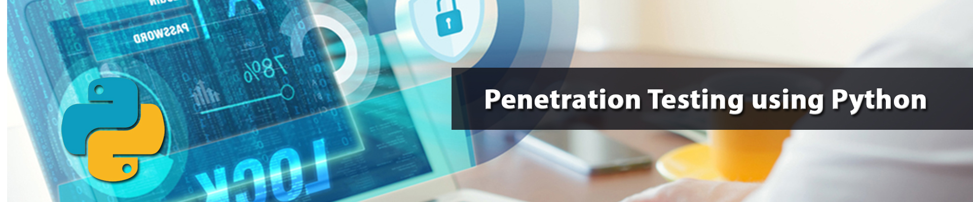 Python-Penetration-Testing