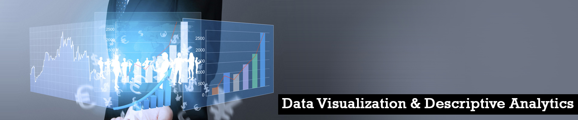 Data-Visualization-Descriptive-Analytics Training and Certification