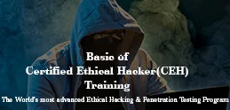 Basics Ethical Hacking Training - Blogs