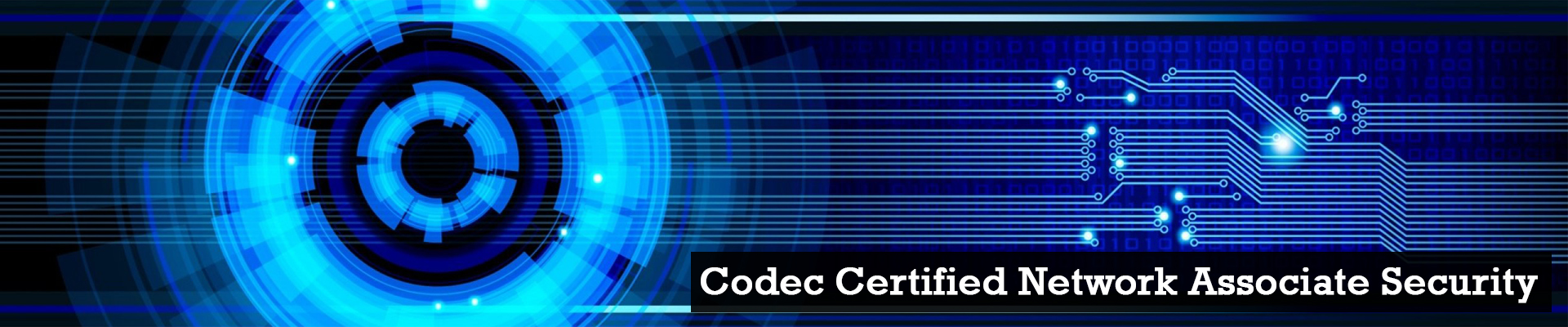 CISCO-Certified-Network-Associate-CCNA-Security-Training-Certification